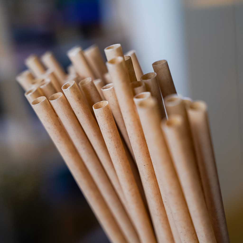 Sugarcane-Based Straws - Great Prices, Buy Now