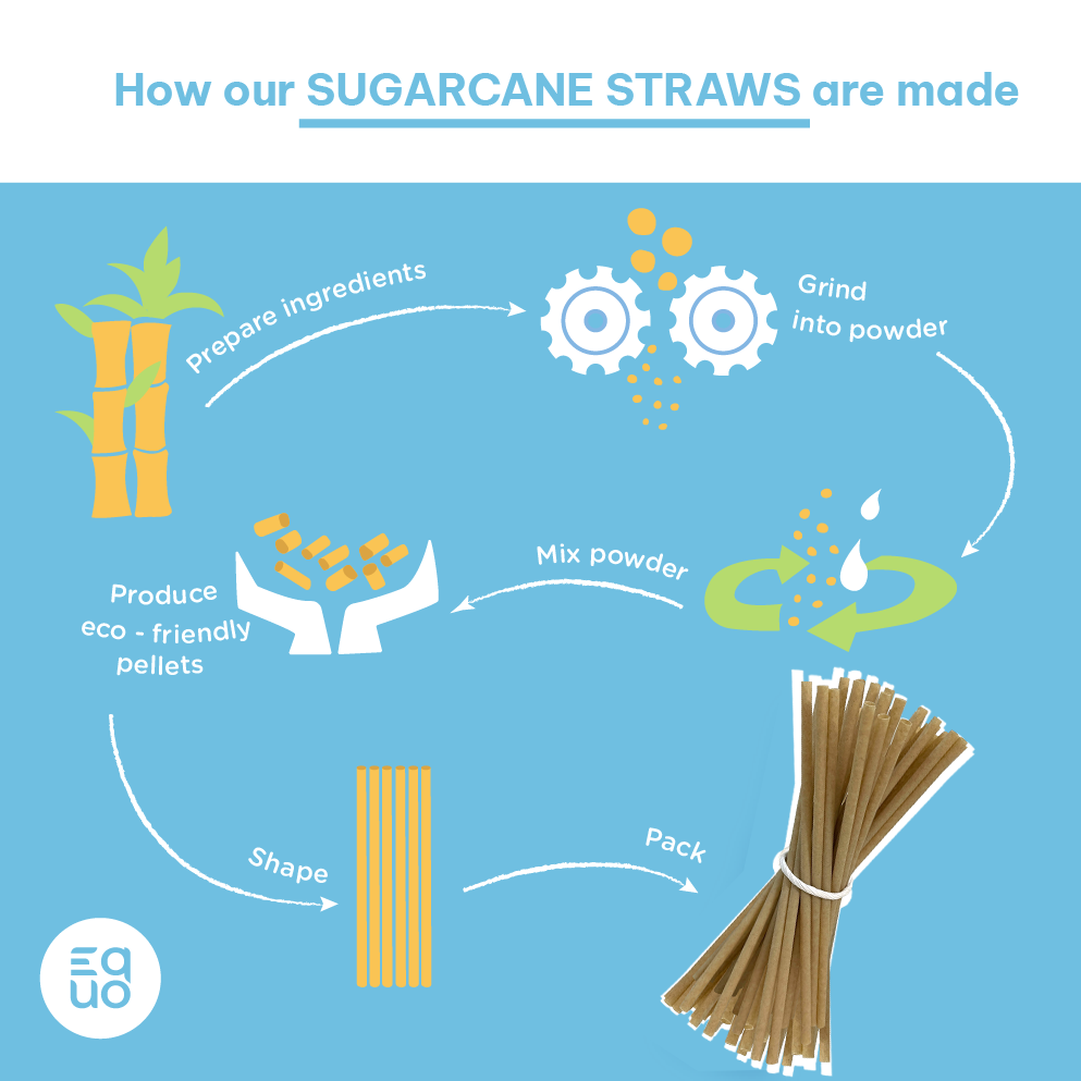 Cycle of Life - Sugarcane Drinking Straws (100 Piece Pack)