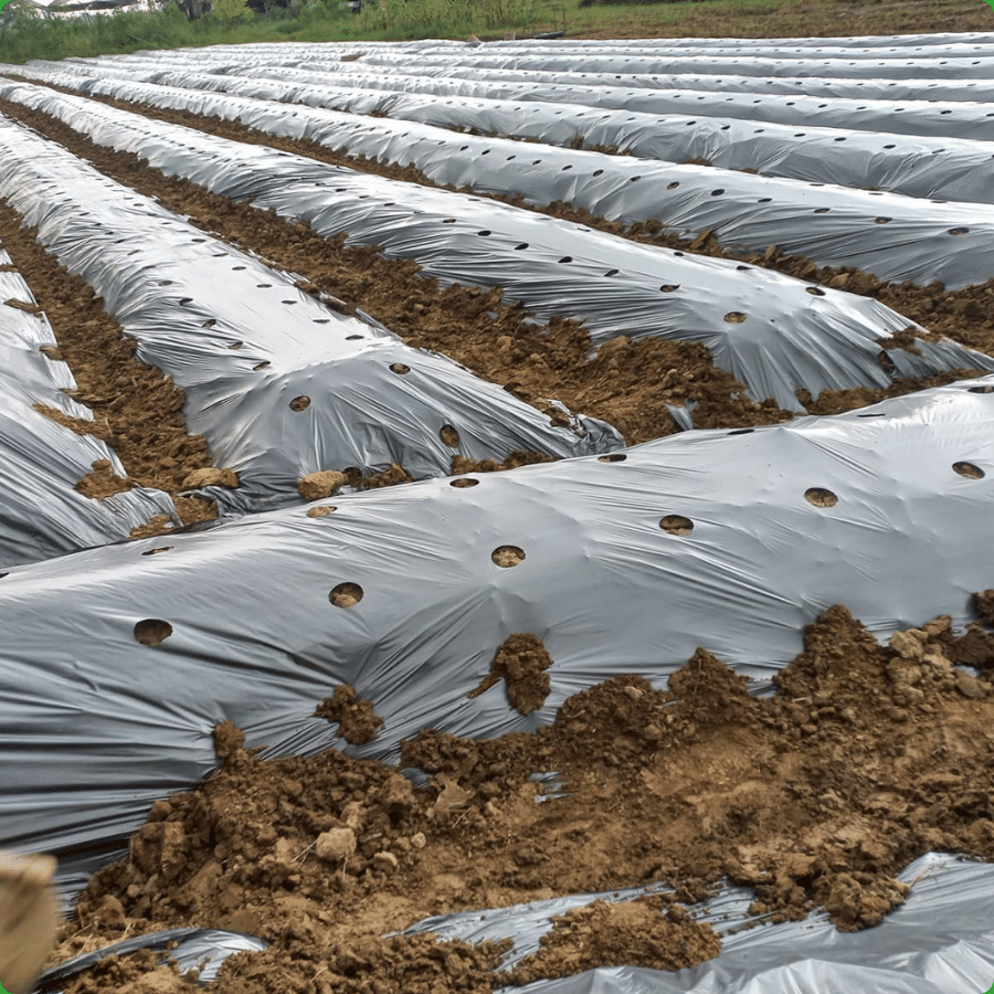 Production of agricultural mulch films