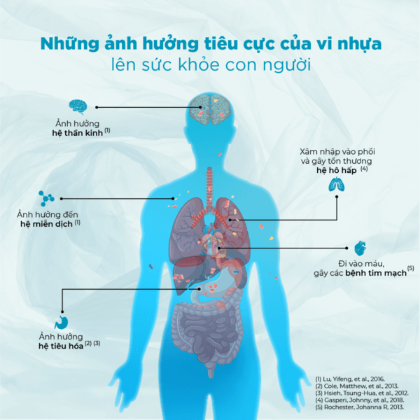 Các tác hại nguy hiểm của BPA lên cơ thể người