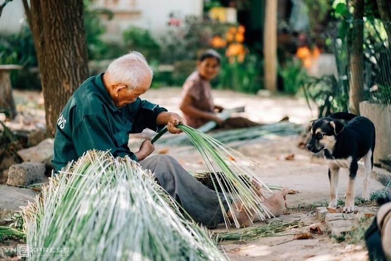 cây cỏ bàng dùng làm đồ nội thất và đồ gia dụng