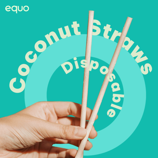 Common Types of Reusable Drinking Straws — The Ecoporium
