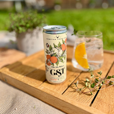 The Six Wives G&T in a can on a tray in the garden with orange and fresh thyme