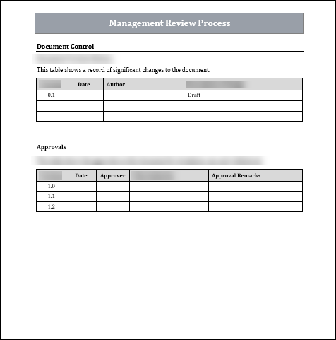 ISO 9001 Management Review Process Template
