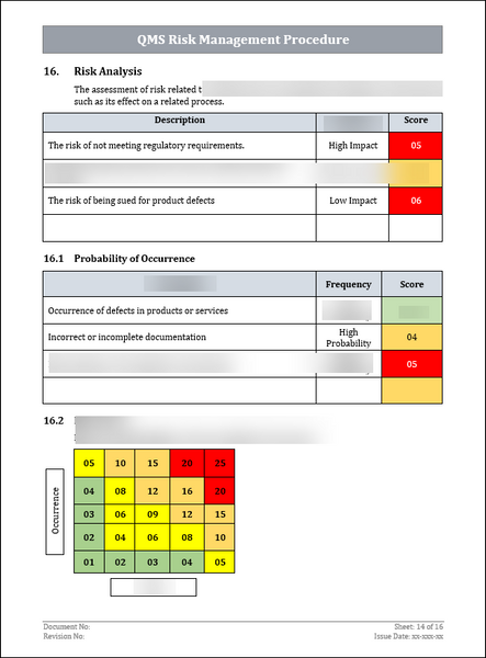 ISO 9001 Risk Management Procedure