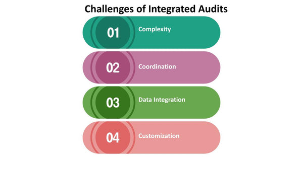Challenges of Integrated Audits