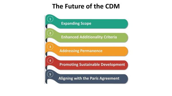 The Future of the CDM