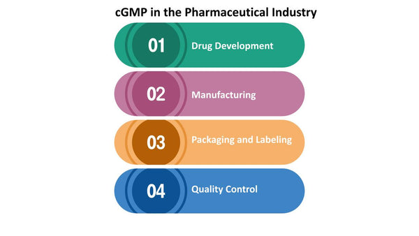 cGMP in the Pharmaceutical Industry