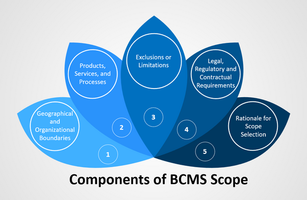 Components of BCMS Scope