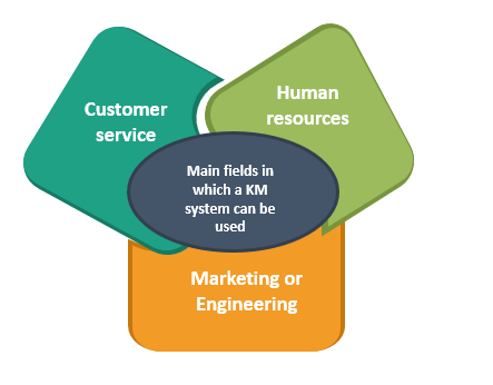 main fields in which a Knowledge Management system can be used