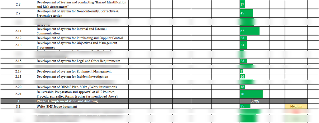 ISO 45001 Project Plan Template