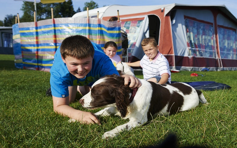Caravan Holiday Park with Dogs
