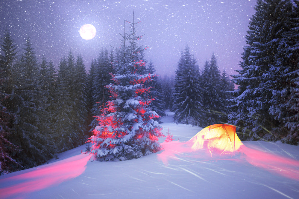 Christmas Camping 