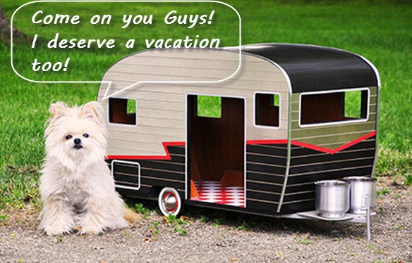 Pet Care Tips on Caravan Holiday