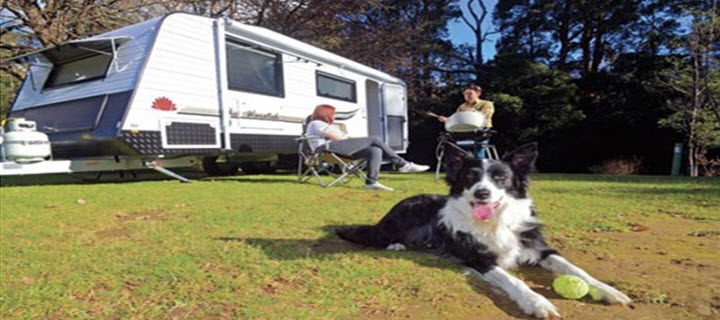 Pet Freindly Caravan Parks