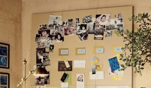 Pin Board for Pinning Photographs