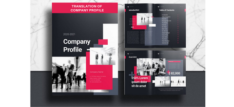 Translation-of-company-profile