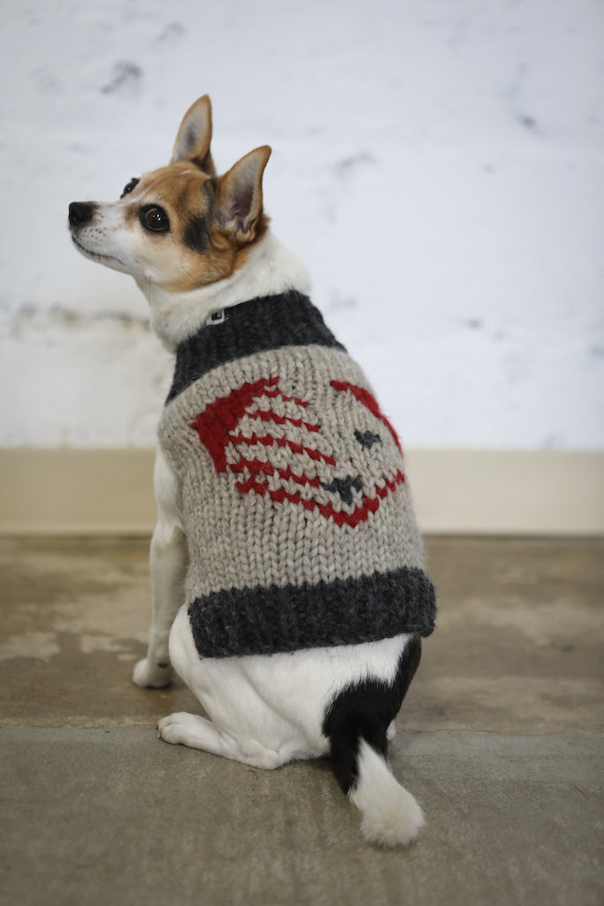 Dog Sweater