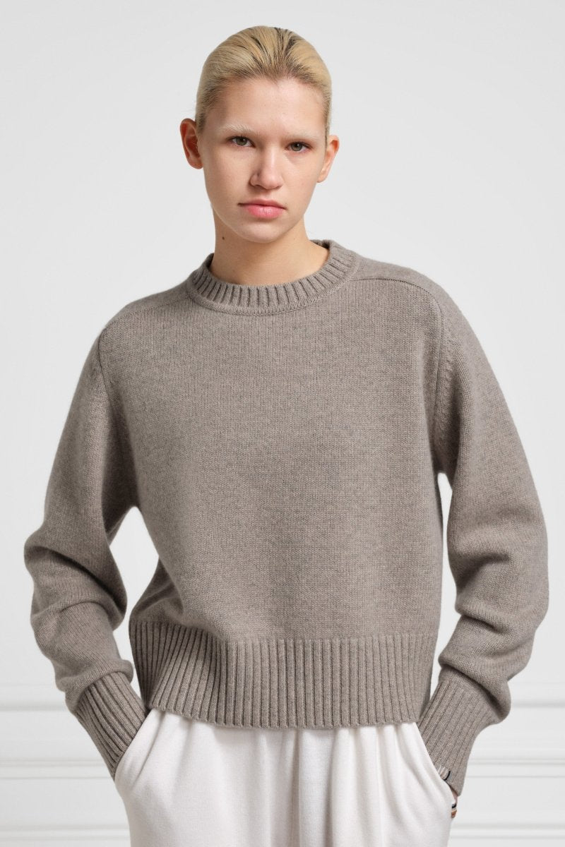 extreme cashmere 100% crew-neck sweater n°123 bourgeois