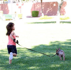 Young girl holding Tre Ponti Mesh Leash in Black attached to French Bulldog running in sunny park