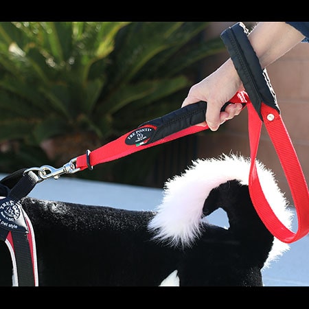 Hand holding second handle of Tre Ponti Double Handle Long Leash in Red attached to model dog