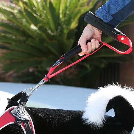 Hand holding second handle of a Tre Ponti Double Handle Leash Short in Red attached to a demo doggie