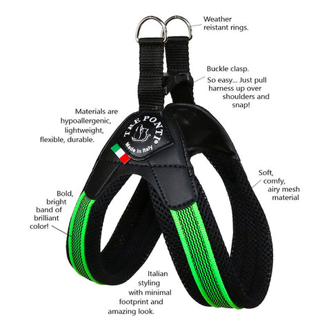 Tre Ponti Fluo Pop Buckle Harness features