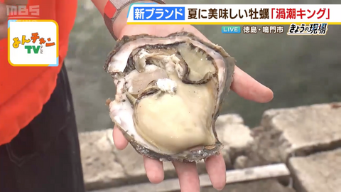 Young Oyster Association Oyster Professional Etsu-san Yonchan TV