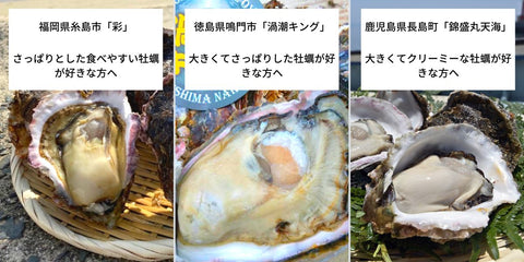 牡蠣若手の会　岩牡蠣　産地直送　ブランド岩牡蠣
