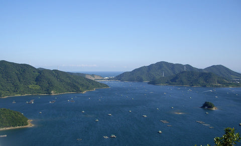 Uchinoumi, Naruto City, Tokushima Prefecture