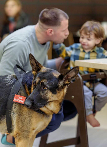 Servicehunde