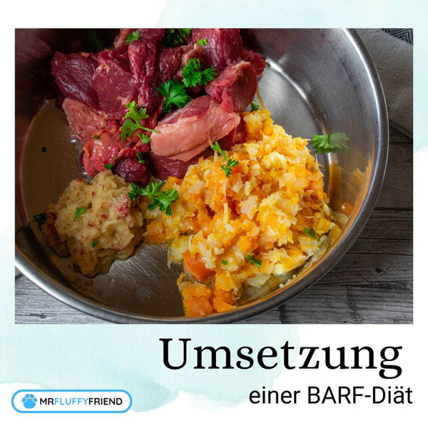 BARF-Vor-Nachteile