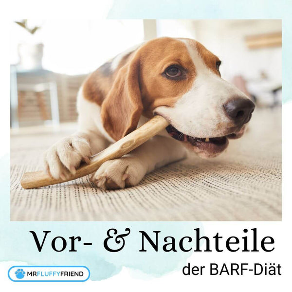 BARF-Vor-Nachteile