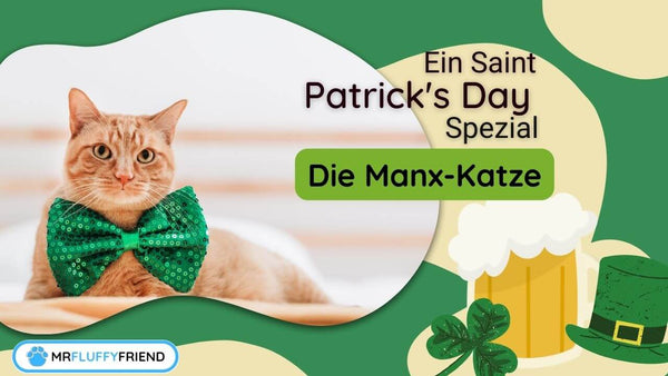 Was-ist-eine-Manx-Katze