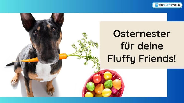 Osterkorb-fur-Haustiere