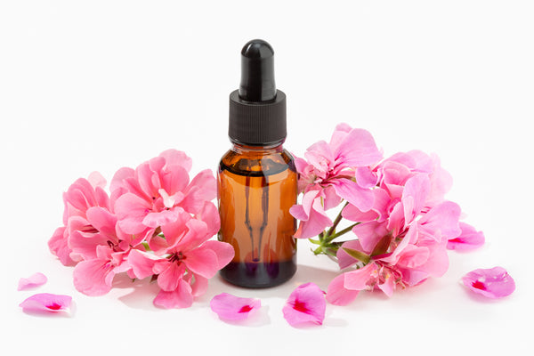 Geranium Essential Oil