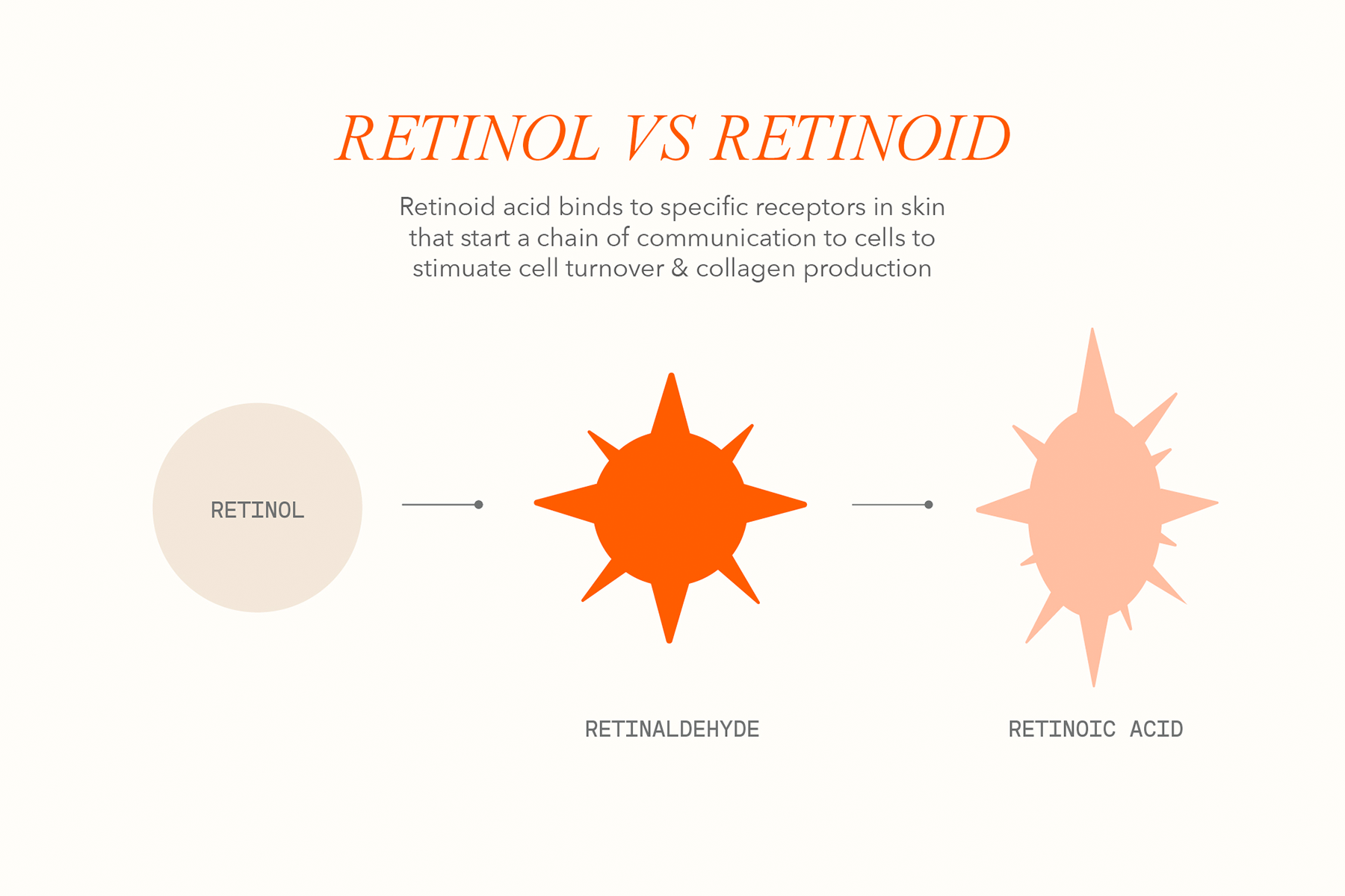 Retinol vs retinoid comparison graphic