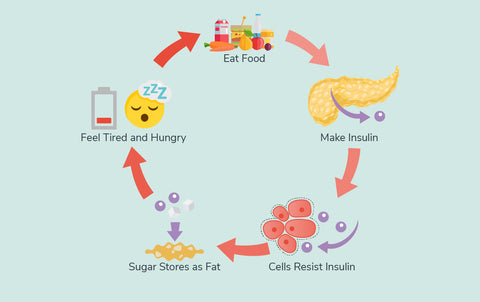 How Insulin Resistance Affects You