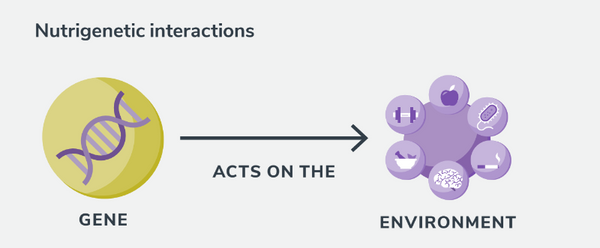 Nutrigenetic interaction