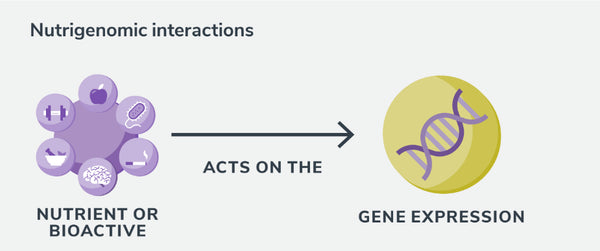 Nutrition and gene interactions in Nutrigenomics