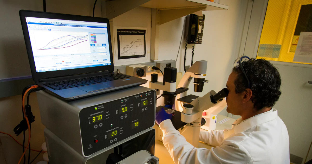 Understanding DNA Methylation