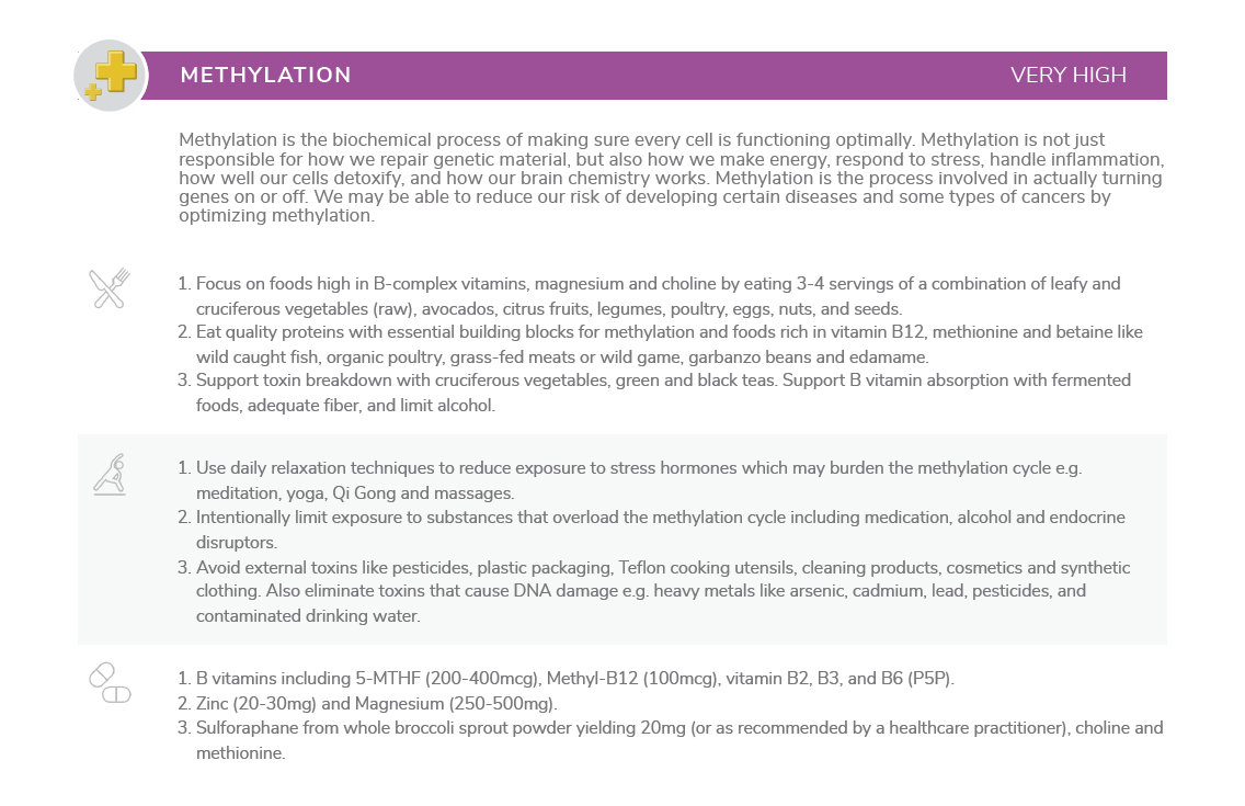 what is dna methylation