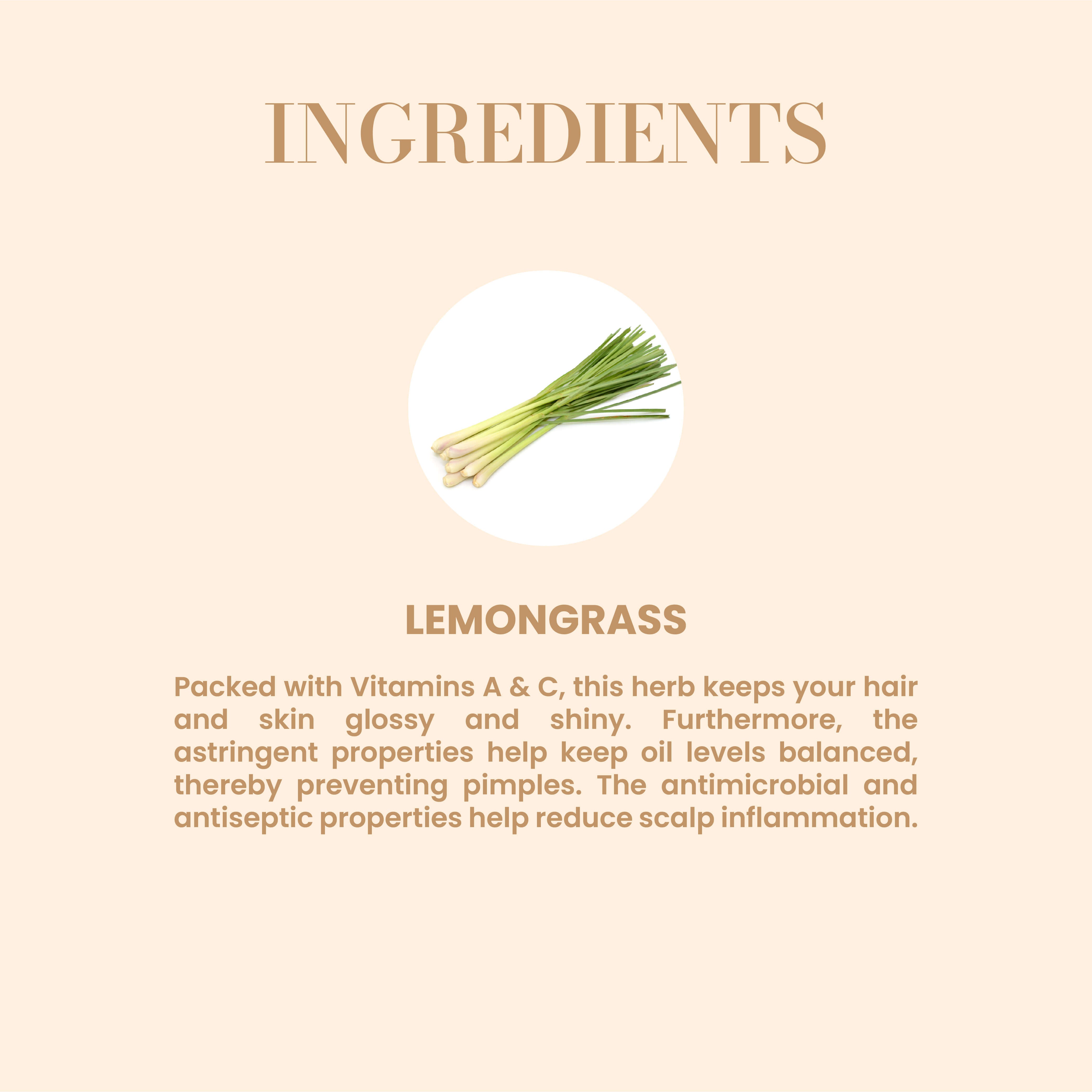 Durga Natural Products Lemongrass Essential Oil  Price in India Buy Durga  Natural Products Lemongrass Essential Oil Online In India Reviews Ratings   Features  Flipkartcom