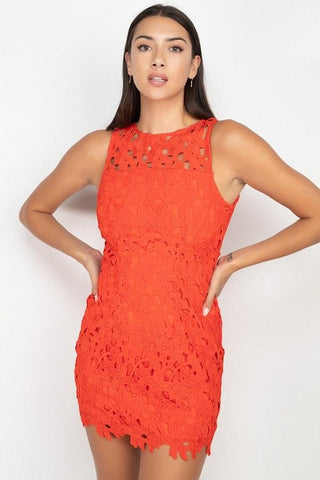 Orange Bodycon Dress with Lace Overlay