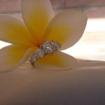 Flower Shot of Alani's Brian Gavin Graduated 5 Stone Trellis Ring