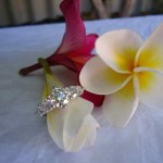 Flower Shot of Alani's Brian Gavin Graduated 5 Stone Trellis Ring