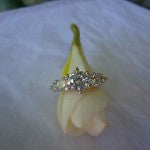 Flower Shot of Alani's Brian Gavin Graduated 5 Stone Trellis Ring