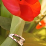 Danielle's Glamor Shots of her Brian Gavin Engagement Ring