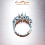 Side Glamor Shot of Alani's Brian Gavin Graduated 5 Stone Trellis Ring