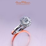 The Allie Platinum Halo Setting by Brian Gavin